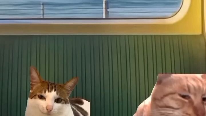 kamu pintar