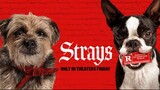 Strays Full movie 2023 | Link in description