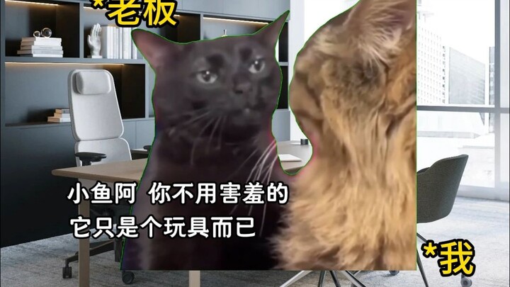 How I Got Hired at a Boys’ Toy Company and Had the Boss in Stitches [Part 2]