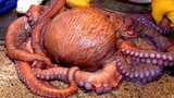 대왕문어무침 Seasoned Octopus Salad cooked with 17kg Giant Octopus - Korean street food