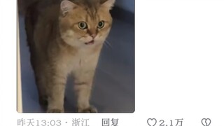 "Mom, are we not keeping it anymore?"