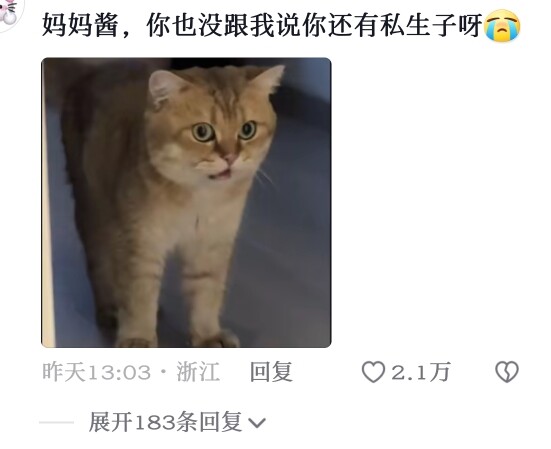 “妈妈，不养了吗？”