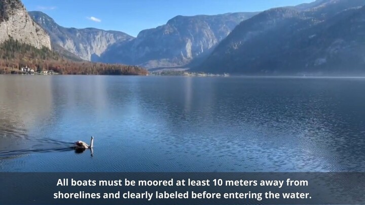 Can You Swim At Hallstatt? Swimming Rules and Regulations of Hallstatt Lake
