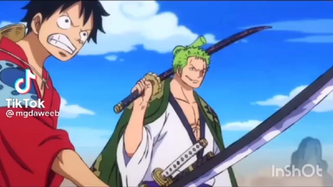 Zorro Sees Luffy Using Sword Bilibili