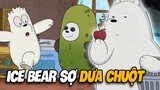 Những Thứ Khiến Ice Bear Ghét Bỏ | We Bare Bears