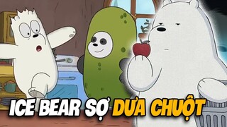 Những Thứ Khiến Ice Bear Ghét Bỏ | We Bare Bears