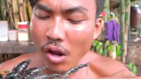exotic food eating fried scorpions