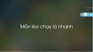 Mồn lèo chạy là nhanh - liên minh