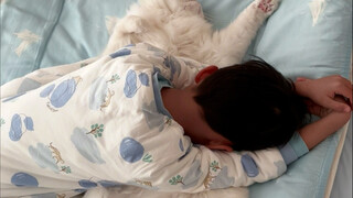 My cat stepped on my pregnant belly, and I made it pay the price for its life... #cutepet #petsandch