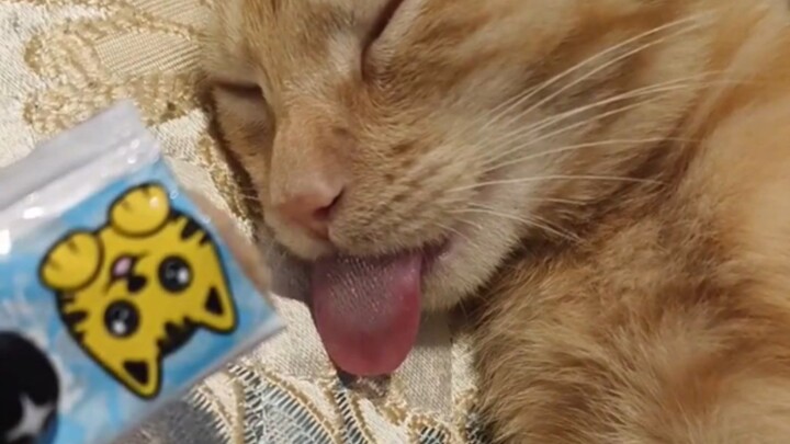 Tiba-tiba terbangun dengan rasa terkejut dan panjang mengeluh, hanya menyadari saat itu bantal dan a