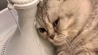 ganyan talga ang life ming