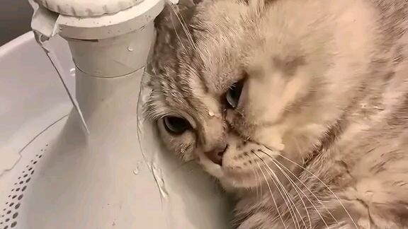 ganyan talga ang life ming