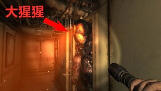 恐怖游轮上的恐怖大猩猩！