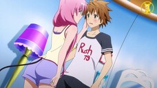 Xem Là Nghiện - Anh Chàng Ước Mơ Có Cả Một Dàn Hậu Cung | AMV To Love Ru