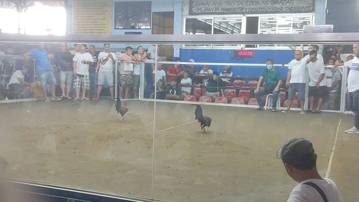 december 29 2022 dampalit all star win , 1st win