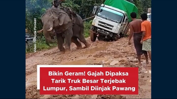 #news #beritaindo #peringatandarurat