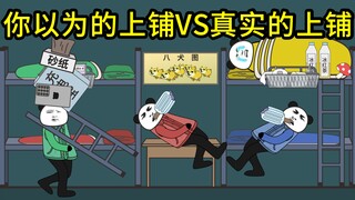 你以为的上铺vs真实的上铺