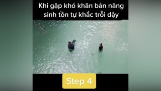 Step 4 phimhay phimhaymoinhat phimkhoahocvientuong tiktok nabi xuhuong TestNhanPham film