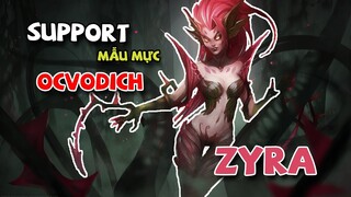 CHẶNG ĐƯỜNG THOÁT BẠCH KIM | ZYRA SUPPORT MẪU MỰC NHƯ SÁCH GIÁO KHOA