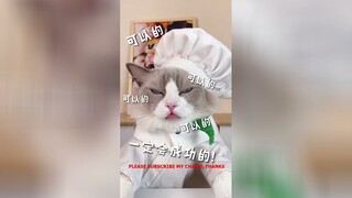 Tik Tok Chó Mèo Dễ Thương Đáng Yêu Siêu Cute Cực Mê 4