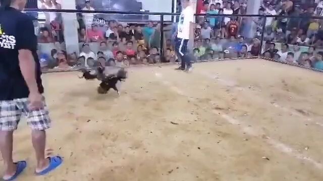 FEB. 25, 2023 TALISAY VS PULA