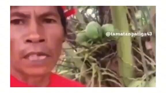 hhh