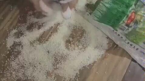 Mèo: “Anh cả! Em sai rồi!”