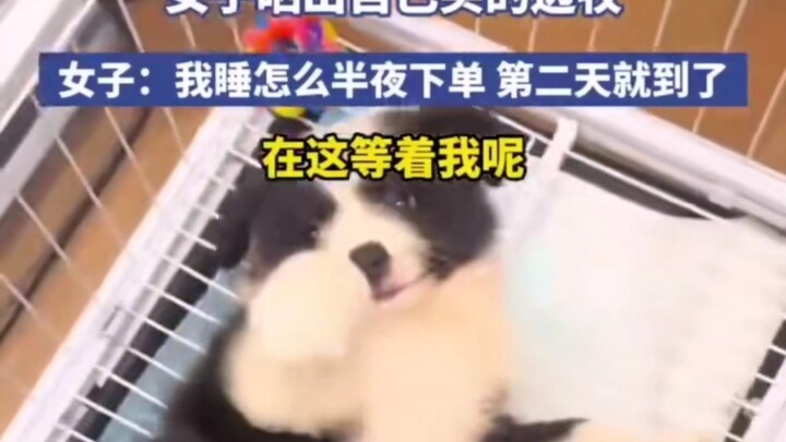 Thì ra cửa hàng đang chờ ở đây😂