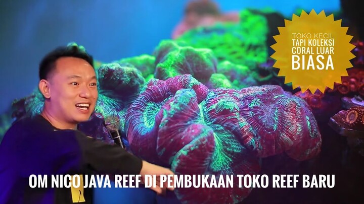Marine Aquarium Store Tour Video "VV Aquatic Kudus"