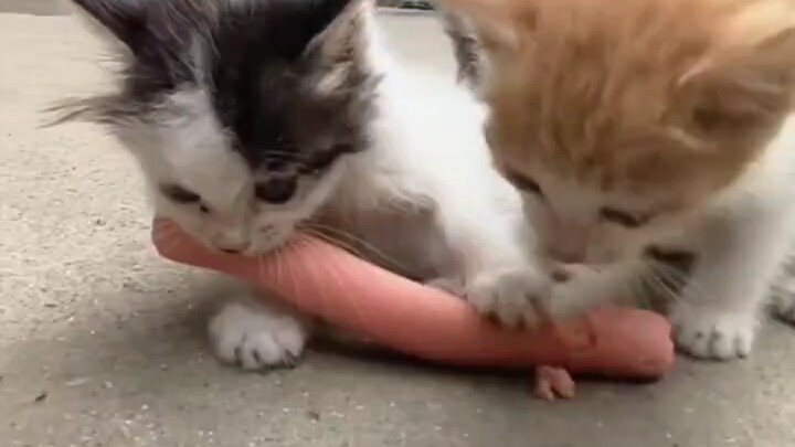 คุณฮั่วไปก่อน ข้าขออิ่มท้องสักหน่อย