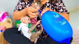 Wow, Big Balloon!! Tiny adorable Toto and Yaya surprise to play with the big balloon