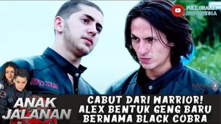 CABUT DARI WARRIOR! ALEX BENTUK GENG BARU BERNAMA BLACK COBRA - ANAK JALANAN