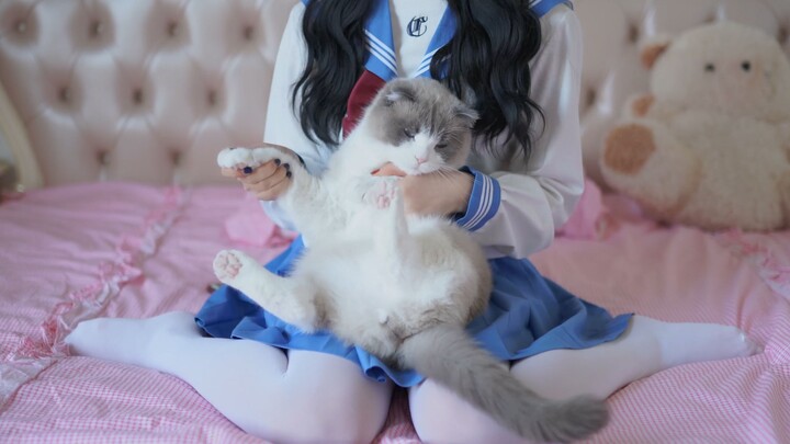 แมวที่เคยน่ารัก ทำไมเลี้ยงไปเลี้ยงมากลายเป็นหมูไปแล้ว???