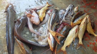 CƠM GHE • Canh Chua Nấu Lá Me Non | Ngư Dân Miền Tây