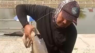 mancing ikan dapet yg jumbo