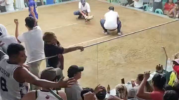 MC-RKj backyard GF 3rd fyt for the champ. Vs. Hatch grey