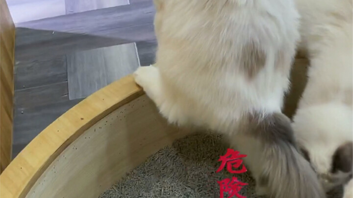 Exercise promotes excretion; that’s probably how it works.