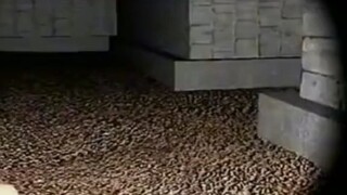 jangan kaget lihat nya iya 😅