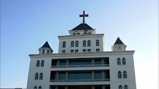 鸡蛋一送，信仰启动；鸡蛋一停，信仰归零。