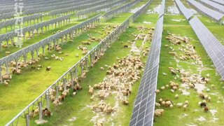 الشخص الذي اقترح هذا المشروع بالتأكيد مستقبله مشرق جدًا لدرجة أنه لا يستطيع النوم!