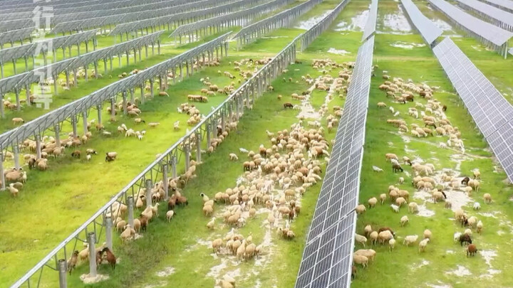 คนที่เสนอโครงการนี้ อนาคตสดใสจนนอนไม่หลับเลยสิ