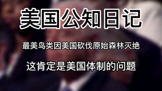 【يوميات المثقف الأمريكي】 انقراض أجمل طائر بسبب قطع الولايات المتحدة للغابات البكر، هذه بالتأكيد مشكل