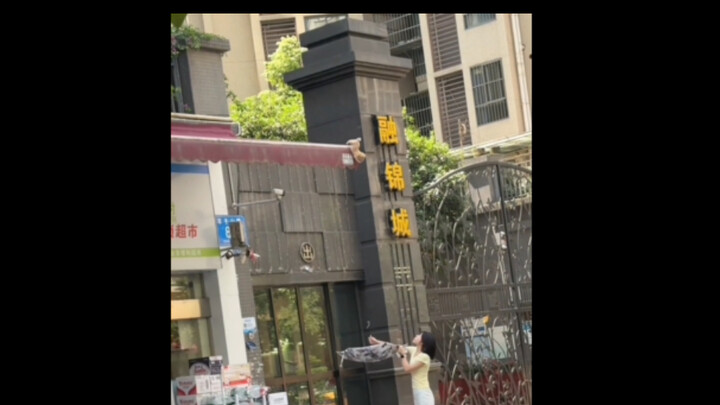 น้องหมาไว้ใจมนุษย์มากเลย!