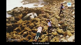 Review Phim - Chim Ưng Trỗi Dậy I Flacon Rising cực hay