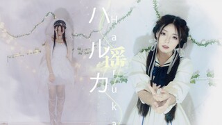 Haruka | 你也会跨步向前，渐渐地长大成人【廷棠-生日作】