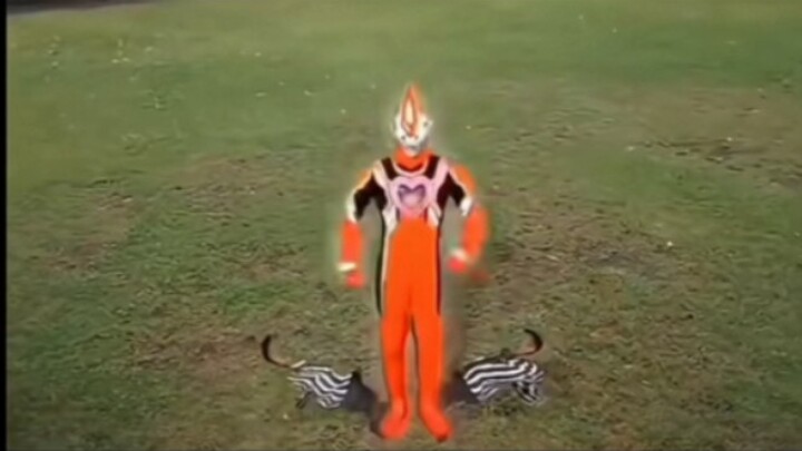 It takes even more effort than with Nexus to find a human host.