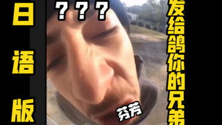 《只 要 是 日 语 就 画 风 突 变》