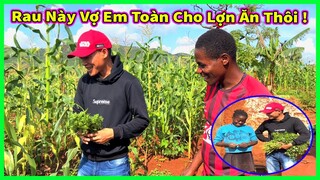 Linh Philip || Theo Chân Hướng Dẫn Viên Du Lịch ROFINO Nơi Bản Mới Có Điều Gì Thú Vị ?