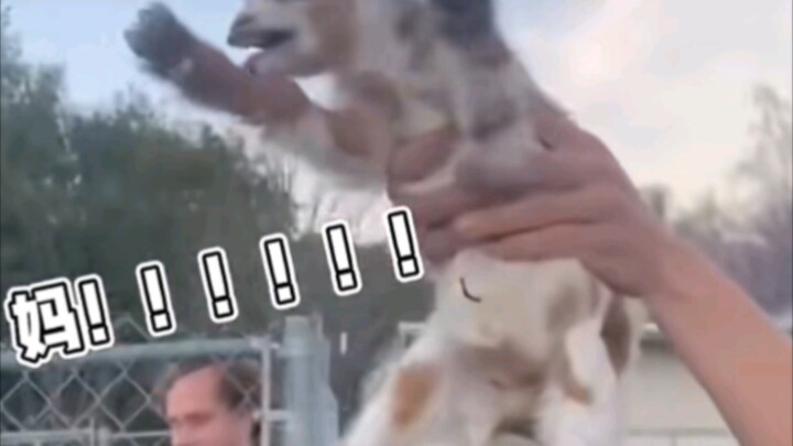 Mấy người chẳng có giới hạn cá nhân này đúng là đáng ghét quá đi mất!