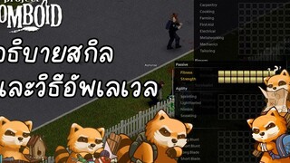 อธิบายสกิลและวิธีอัพเลเวล ฉบับรวดเร็ว รวบรัดแต่ไม่รีบร้อน Project zomboid